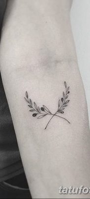 фото тату оливковая ветвь от 13.11.2017 №008 — olive branch tattoo — tatufoto.com