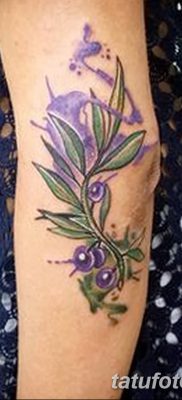 фото тату оливковая ветвь от 13.11.2017 №009 — olive branch tattoo — tatufoto.com