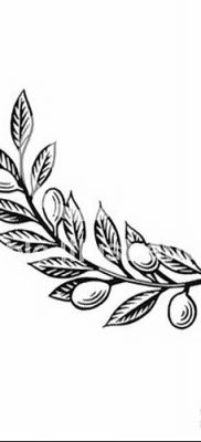 фото тату оливковая ветвь от 13.11.2017 №010 — olive branch tattoo — tatufoto.com