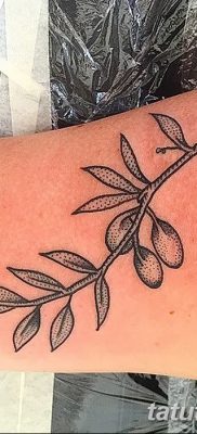 фото тату оливковая ветвь от 13.11.2017 №011 — olive branch tattoo — tatufoto.com