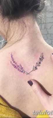 фото тату оливковая ветвь от 13.11.2017 №012 — olive branch tattoo — tatufoto.com