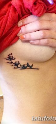 фото тату оливковая ветвь от 13.11.2017 №013 — olive branch tattoo — tatufoto.com