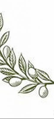 фото тату оливковая ветвь от 13.11.2017 №018 — olive branch tattoo — tatufoto.com