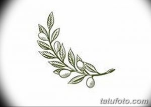Черно-белый эскиз татуировки оливковой ветви с плодами. Идеально подходит для минималистичных рисунков и небольших тату.
