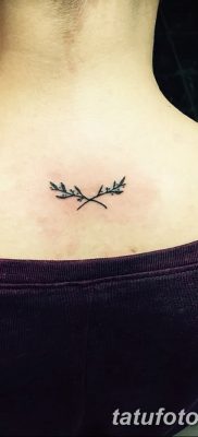 фото тату оливковая ветвь от 13.11.2017 №020 — olive branch tattoo — tatufoto.com