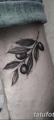 фото тату оливковая ветвь от 13.11.2017 №024 — olive branch tattoo — tatufoto.com