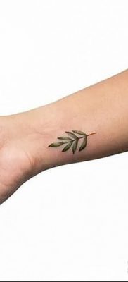 фото тату оливковая ветвь от 13.11.2017 №026 — olive branch tattoo — tatufoto.com