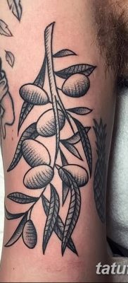 фото тату оливковая ветвь от 13.11.2017 №029 — olive branch tattoo — tatufoto.com