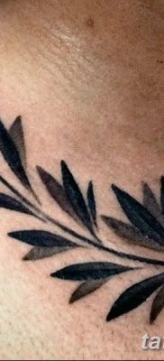 фото тату оливковая ветвь от 13.11.2017 №033 — olive branch tattoo — tatufoto.com