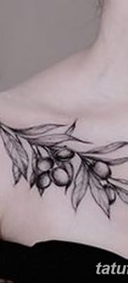 фото тату оливковая ветвь от 13.11.2017 №035 — olive branch tattoo — tatufoto.com