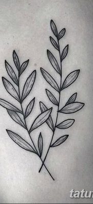 фото тату оливковая ветвь от 13.11.2017 №036 — olive branch tattoo — tatufoto.com