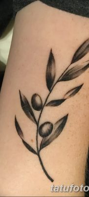 фото тату оливковая ветвь от 13.11.2017 №039 — olive branch tattoo — tatufoto.com