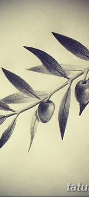 фото тату оливковая ветвь от 13.11.2017 №042 — olive branch tattoo — tatufoto.com