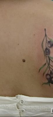 фото тату оливковая ветвь от 13.11.2017 №044 — olive branch tattoo — tatufoto.com