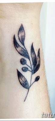 фото тату оливковая ветвь от 13.11.2017 №046 — olive branch tattoo — tatufoto.com