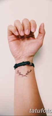 фото тату оливковая ветвь от 13.11.2017 №047 — olive branch tattoo — tatufoto.com