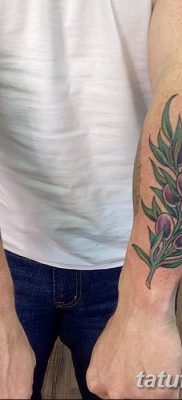 фото тату оливковая ветвь от 13.11.2017 №051 — olive branch tattoo — tatufoto.com