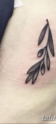 фото тату оливковая ветвь от 13.11.2017 №052 — olive branch tattoo — tatufoto.com