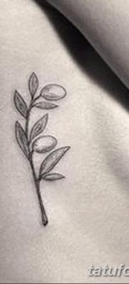фото тату оливковая ветвь от 13.11.2017 №054 — olive branch tattoo — tatufoto.com