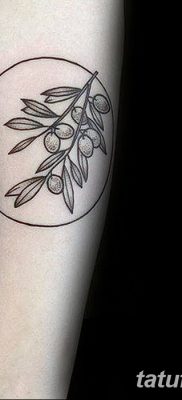 фото тату оливковая ветвь от 13.11.2017 №056 — olive branch tattoo — tatufoto.com