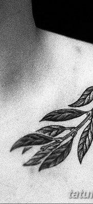 фото тату оливковая ветвь от 13.11.2017 №057 — olive branch tattoo — tatufoto.com