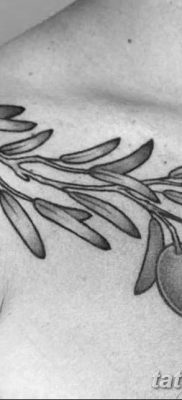 фото тату оливковая ветвь от 13.11.2017 №058 — olive branch tattoo — tatufoto.com