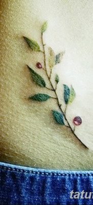 фото тату оливковая ветвь от 13.11.2017 №059 — olive branch tattoo — tatufoto.com