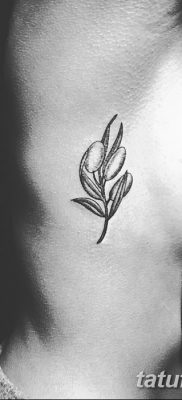 фото тату оливковая ветвь от 13.11.2017 №061 — olive branch tattoo — tatufoto.com