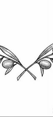 фото тату оливковая ветвь от 13.11.2017 №065 — olive branch tattoo — tatufoto.com