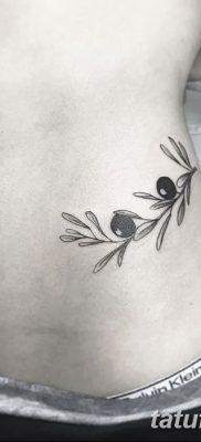 фото тату оливковая ветвь от 13.11.2017 №066 — olive branch tattoo — tatufoto.com
