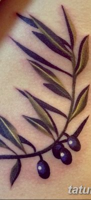 фото тату оливковая ветвь от 13.11.2017 №076 — olive branch tattoo — tatufoto.com