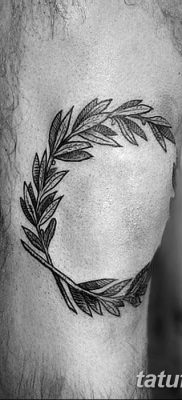 фото тату оливковая ветвь от 13.11.2017 №079 — olive branch tattoo — tatufoto.com