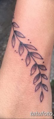 фото тату оливковая ветвь от 13.11.2017 №080 — olive branch tattoo — tatufoto.com