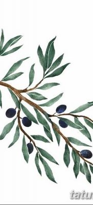 фото тату оливковая ветвь от 13.11.2017 №083 — olive branch tattoo — tatufoto.com