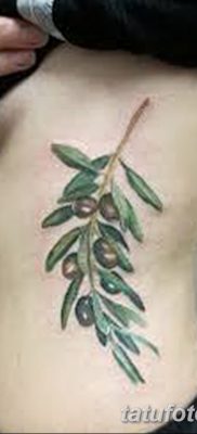 фото тату оливковая ветвь от 13.11.2017 №087 — olive branch tattoo — tatufoto.com