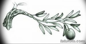 Черно-белый эскиз татуировки оливковой ветви с плодами. Детализированный рисунок, идеально подходящий для вдохновения и создания уникального дизайна.
