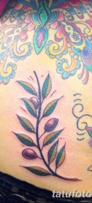 фото тату оливковая ветвь от 13.11.2017 №091 — olive branch tattoo — tatufoto.com