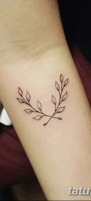 фото тату оливковая ветвь от 13.11.2017 №094 — olive branch tattoo — tatufoto.com