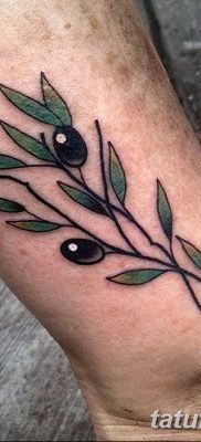 фото тату оливковая ветвь от 13.11.2017 №095 — olive branch tattoo — tatufoto.com