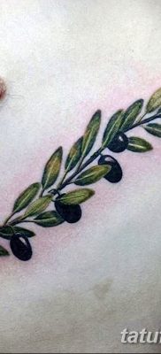 фото тату оливковая ветвь от 13.11.2017 №099 — olive branch tattoo — tatufoto.com