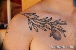 Фото тату оливковой ветви на плече мужчины. Черно-серая татуировка с детально проработанными листьями и ягодами оливок, расположенная вдоль ключицы.