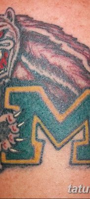 фото тату росомаха от 17.11.2017 №015 — Wolverine tattoo — tatufoto.com
