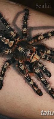 фото тату тарантул от 21.11.2017 №001 — tattoo tarantula — tatufoto.com