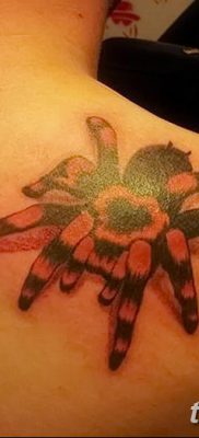 фото тату тарантул от 21.11.2017 №002 — tattoo tarantula — tatufoto.com