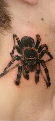 фото тату тарантул от 21.11.2017 №003 — tattoo tarantula — tatufoto.com