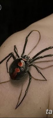 фото тату тарантул от 21.11.2017 №006 — tattoo tarantula — tatufoto.com