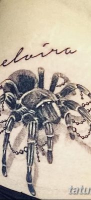 фото тату тарантул от 21.11.2017 №008 — tattoo tarantula — tatufoto.com