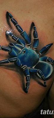 фото тату тарантул от 21.11.2017 №009 — tattoo tarantula — tatufoto.com