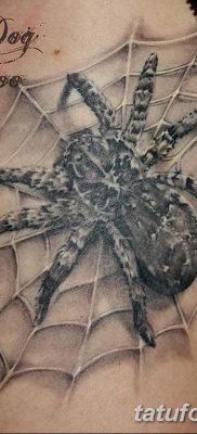 фото тату тарантул от 21.11.2017 №012 — tattoo tarantula — tatufoto.com