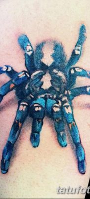 фото тату тарантул от 21.11.2017 №013 — tattoo tarantula — tatufoto.com
